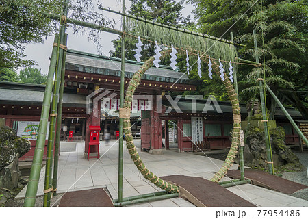 大國魂神社　神社　茅の輪 　夏越祓 　夏越の祓　厄払いけ 77954486