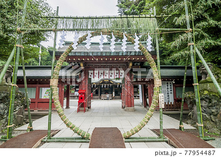 大國魂神社　神社　茅の輪 　夏越祓 　夏越の祓　厄払いけ 77954487