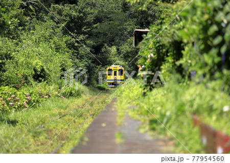 いすみ鉄道 久我原駅と電車 (千葉 夷隅) 77954560