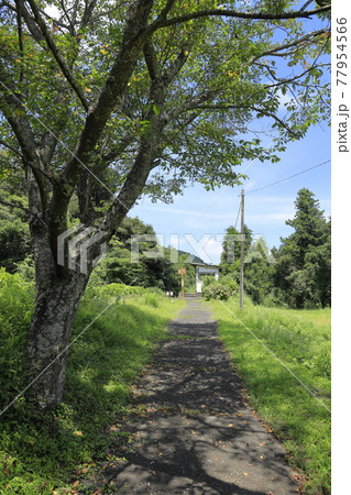 いすみ鉄道 久我原駅 (千葉 夷隅) いすみ鉄道 久我原駅 (千葉 夷隅) 77954566