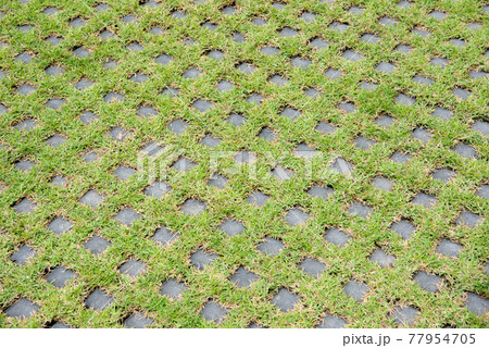 Geometric Concrete Of Parking Whith Green Grass Geometric Concrete Of Parking Whith Green Grass 77954705