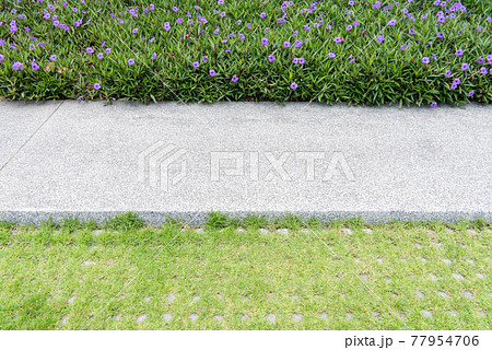 walkway in garden 77954706