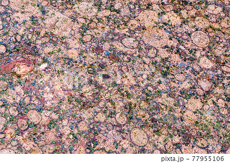 Textured red background. The texture of the sea stone is red-brown. 77955106