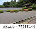 正伝寺の庭園 77955144