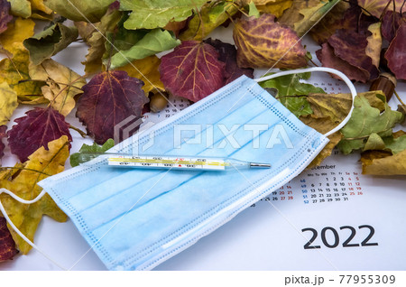 Autumn leaves and thermometer.Seasonal morbidity in the population in 2022. Medical mask and thermometer. 77955309