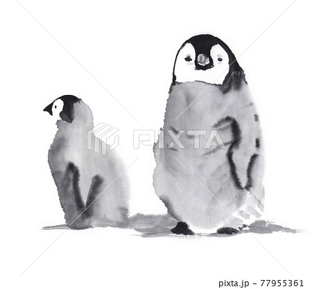 皇帝ペンギンの雛 水墨画イラストのイラスト素材