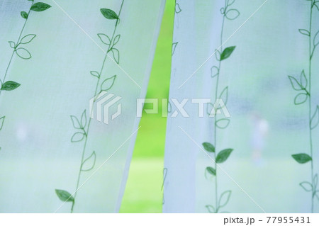 芝の広場で遊ぶファミリー2 77955431