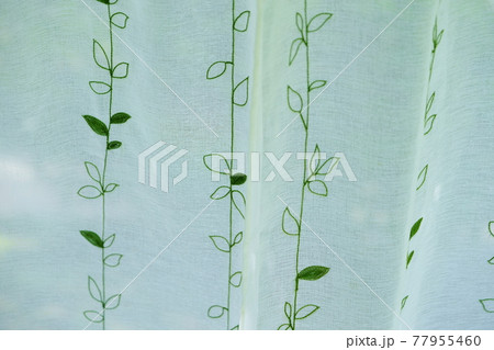 カーテンの向こうの庭の緑8 77955460