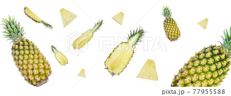 台湾パイナップルのデザイン 77955588