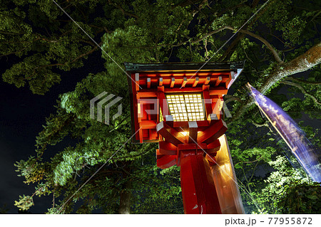 【神奈川県】夜に灯る江島神社の灯籠 【神奈川県】夜に灯る江島神社の灯籠 77955872