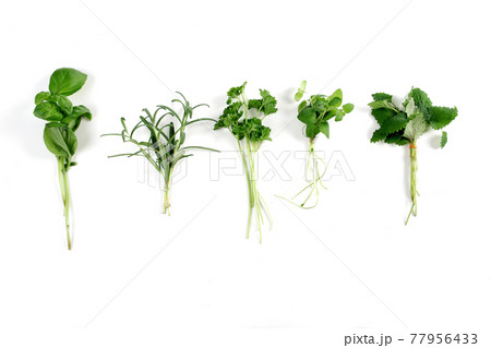 Beautiful still life food stock photography 77956433