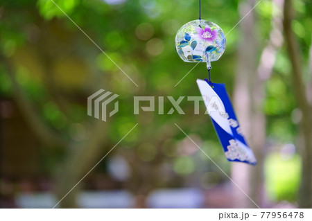 裏庭背景風鈴の涼感7 裏庭背景風鈴の涼感7 77956478