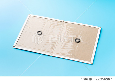 ネズミ捕り粘着シート 77956907