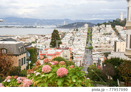 米国　サンフランシスコ　ダウンタウン　ロンバード・ストリート上から望む 77957090