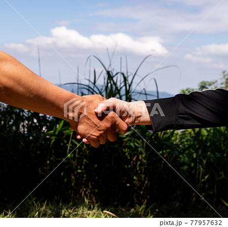 握手する 77957632