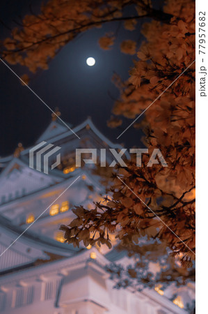 月と桜と城と 77957682