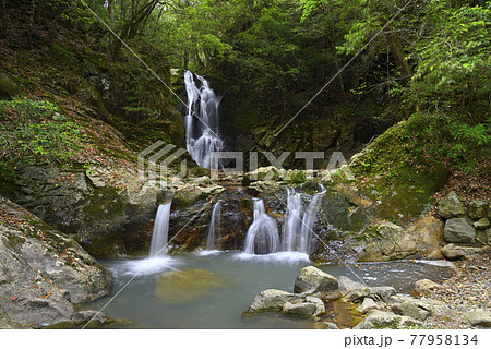 琴弾の滝（岡山県美作市滝宮） 77958134