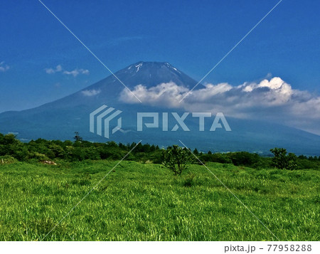 晴れた日の富士山を眺めて 晴れた日の富士山を眺めて 77958288