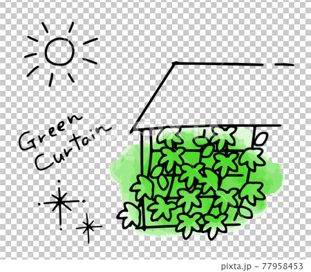 Simple illustration of green curtain and sun 77958453