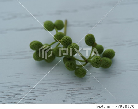 香しい実山椒 香しい実山椒 77958970