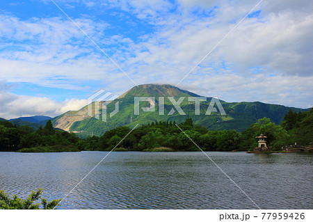 三島池から眺める伊吹山 三島池から眺める伊吹山 77959426