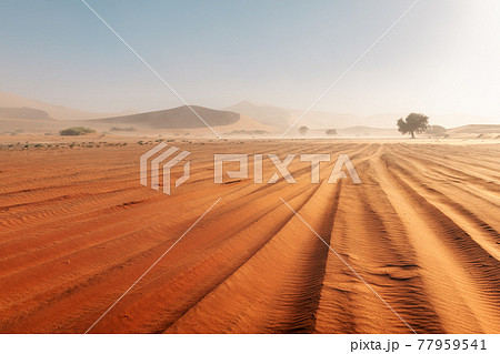 Sandstorm in Sossusvlei in the Namib desert 77959541