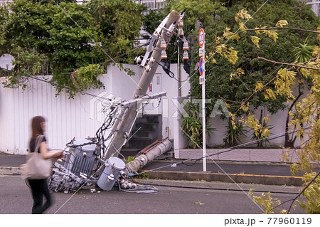 2019年9月3日台風災害写真-倒壊電柱の傍を通行する女性 77960119