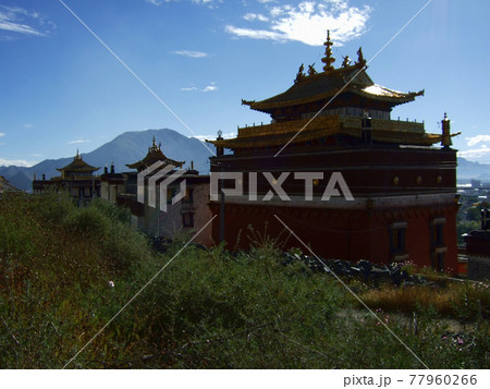 シガツェ タシルンポ寺 シガツェ タシルンポ寺 77960266