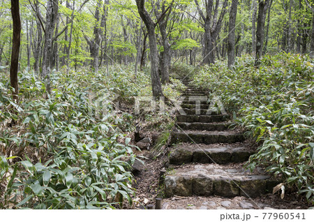 栃木県那須の沼ッ原の石段 栃木県那須の沼ッ原の石段 77960541