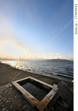 北海道_屈斜路湖_砂湯温泉に集まる白鳥たち 77960645