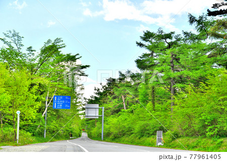 峰の茶屋より千ヶ滝方面を望む(長野県軽井沢町)【2020.6】 77961405