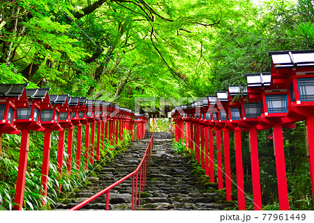貴船神社 77961449