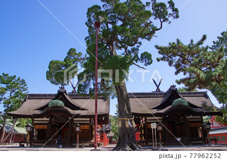 海の神様 住吉神社総本社 住吉大社 海の神様 住吉神社総本社 住吉大社 77962252