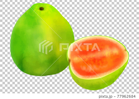 guava 77962684