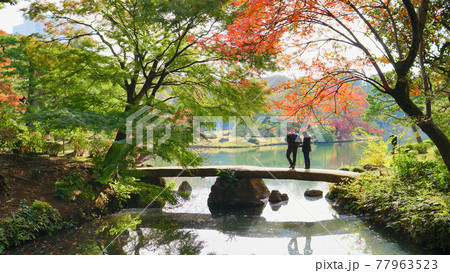 小石川公園 小石川公園 77963523