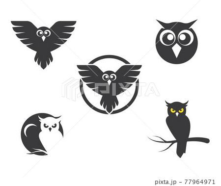 owl icon vector illustration 77964971