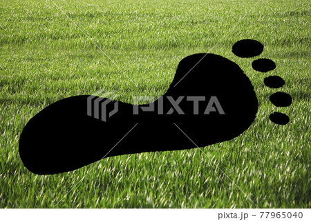 Close-up of footprint on grassy landscape 77965040