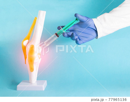 The doctor makes a therapeutic injection into the mock knee joint with corticosteroid and ozone. Concept for the treatment of knee joints using injection blockade. Blue background, copy space for text The doctor makes a therapeutic injection into the mock knee joint with corticosteroid and ozone. Concept for the treatment of knee joints using injection blockade. Blue background, copy space for text 77965136