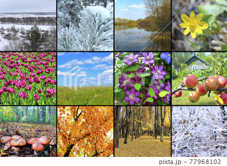 blank with twelve colored images of nature for calendar blank with twelve colored images of nature for calendar 77968102