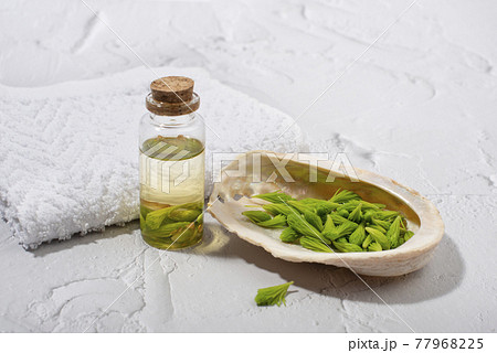 Spruce tips massage oil. Spruce tips massage oil. 77968225