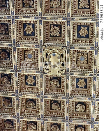 イタリア　ピサ　ドゥーモ　天井の格子細工 77968311