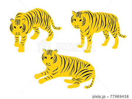虎 イラスト カラーのイラスト素材 [77969438] - PIXTA
