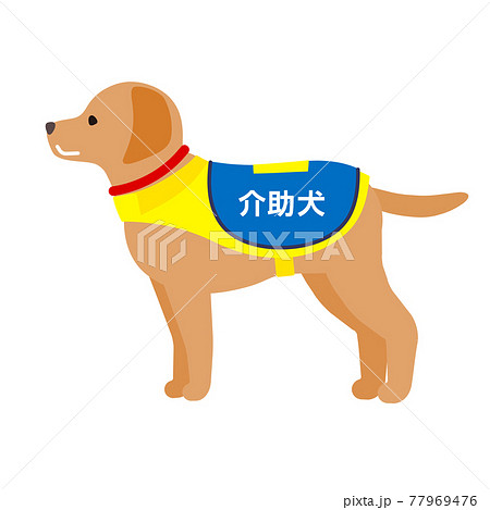 介助犬のイラスト素材