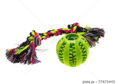 toys for dogs isolated 77973445