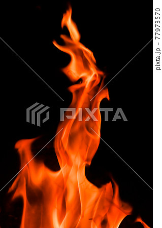 Red blaze Fire flame on a black background Red blaze Fire flame on a black background 77973570