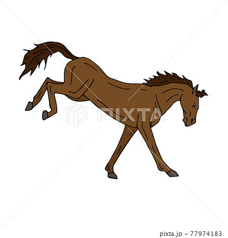 Vector colored hand drawn horse kicking 77974183