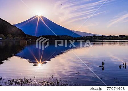 （静岡県）田貫湖　ダイヤモンド富士 77974498