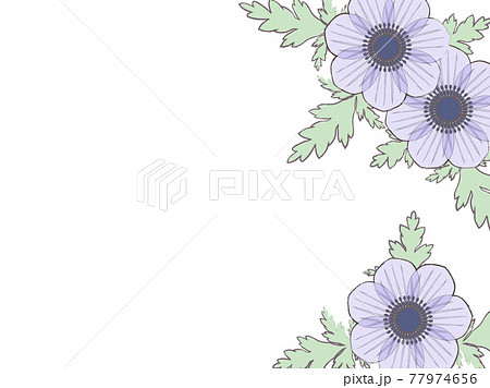 シンプルなアネモネのイラスト背景のイラスト素材