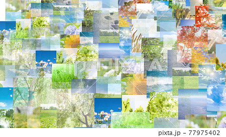 NFTイメージ 77975402