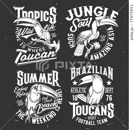 T-shirt print template with toucan tropical bird 77975951